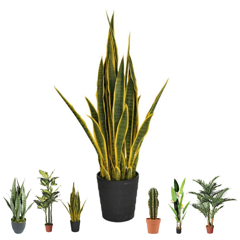 Plante Artificielle bicolore langue de tigre 105cm avec pot | Plantes en plastique pour la décoration de jardin intérieur et ex Plante Artificielle bicolore langue de tigre 105cm avec pot | Plantes en plastique pour la décoration de jardin intérieur et ex