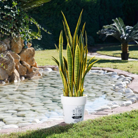 Planta Língua de Tigre Bicolor Artificial 105cm com Vaso