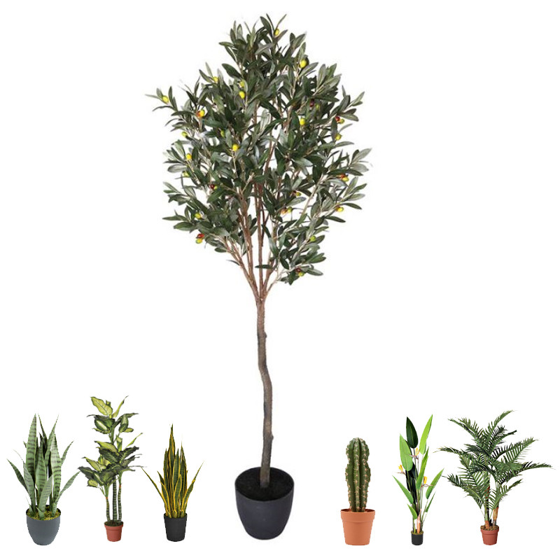 Pianta Artificiale di Ulivo 150cm con vaso | Ulivo in plastica per la decorazione di giardini interni ed esterni Pianta Artificiale di Ulivo 150cm con vaso | Ulivo in plastica per la decorazione di giardini interni ed esterni