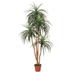 Plante Artificielle Nolina 185cm avec pot | Plantes en plastique pour la décoration de jardin intérieur et extérieur