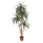 Plante Artificielle Nolina 185cm avec pot | Plantes en plastique pour la décoration de jardin intérieur et extérieur