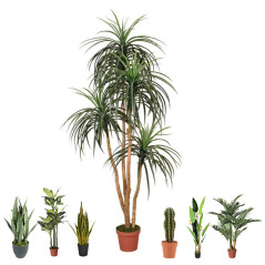 Plante Artificielle Nolina 185cm avec pot | Plantes en plastique pour la décoration de jardin intérieur et extérieur