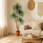 Plante Artificielle Nolina 185cm avec pot | Plantes en plastique pour la décoration de jardin intérieur et extérieur
