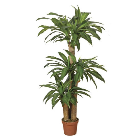 Dracaena artificiel 145 cm avec pot | Plantes en plastique
