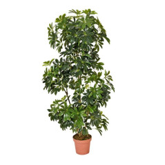 Plante Artificielle Cheflera 145cm avec pot | Plantes en plastique pour la décoration de jardin intérieur et extérieur