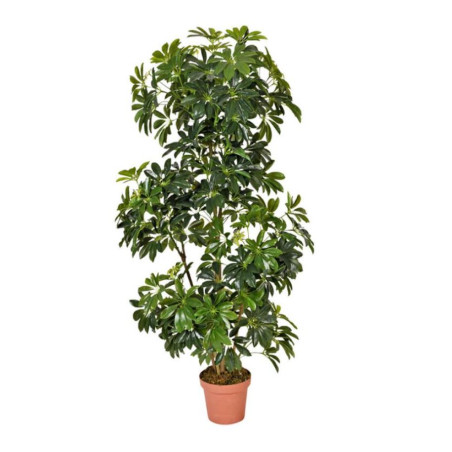 Cheflera Kunstpflanze 145cm mit Topf | Plastikpflanzen