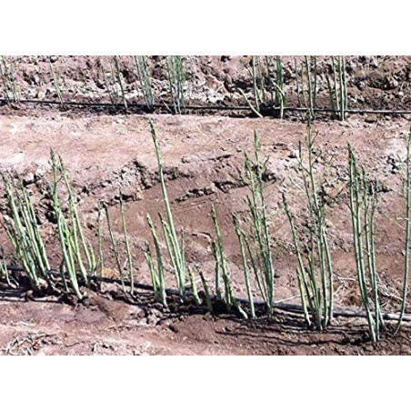 16mm Polyethylene Pipe | 16mm Agricultural Pipe, 2.5 bar, 400 meters