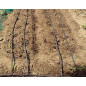 Tuyau goutte à goutte 16mm 2,5 bar, 400 m de long pour système de gicleurs Gardena, Rain Bird Tuyau goutte à goutte 16mm 2,5 bar, 400 m de long pour système de gicleurs Gardena, Rain Bird