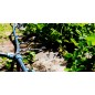 Tuyau polyéthylène alimentaire 20mm 10 bar 50m PE100 HD, bande bleu, tuyau d'eau potable/tuyau d'arrosage Tuyau polyéthylène alimentaire 20mm 10 bar 50m PE100 HD, bande bleu, tuyau d'eau potable/tuyau d'arrosage