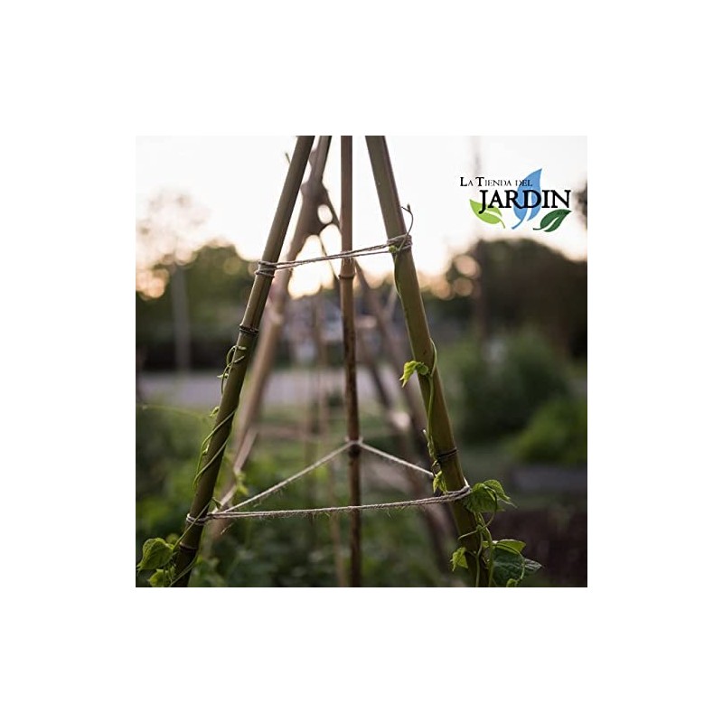 Pack 75 Tutor De Bambu 120 Cm  8-10 Mm  | Varillas De Bambu Para Plantas Y Arboles Tutores Para Tomates Y Plantas Trepadoras 87497235