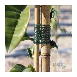 Lot de 25 Tuteur en Bambou 200 cm, 10-12 mm, Tubes en Bambou pour Plantes et Arbres, Baguettes de bambou, Canne de bambou