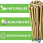 Pack 50 Tutor de Bambu 200 cm (10-12 mm) | Varillas de bambu para Plantas y Arboles | Tutores para Tomates y Plantas trepadoras
