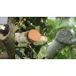 Pastol Mastic 250 gr pour Greffage et Taille | Protège, guérit et régénère les plaies des plantes Pastol Mastic 250 gr pour Greffage et Taille | Protège, guérit et régénère les plaies des plantes