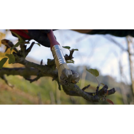 Mastic de greffage et de taille 250 g | Protège, cicatrise et régénère les plaies des plantes