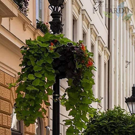 Hanging Coconut Planter, Hanging Pots 40 cm, Hanging Planter Basket