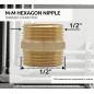 Pack 5 Machón latón 1/2'' | Accesorio latón Aenor | Machones de latón roscados | Machón Roscado latón para Aire, Agua, Gas Pack 5 Machón latón 1/2'' | Accesorio latón Aenor | Machones de latón roscados | Machón Roscado latón para Aire, Agua, Gas