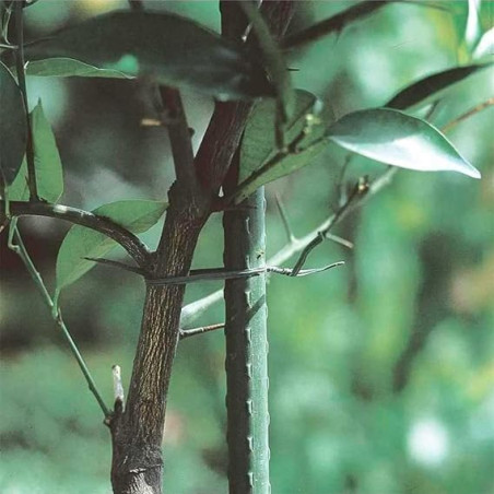 Pacote com 25 estacas de aço revestidas em plástico, 120 cm, Ø11 mm | Varas para plantas e árvores | Estacas de suporte para tom