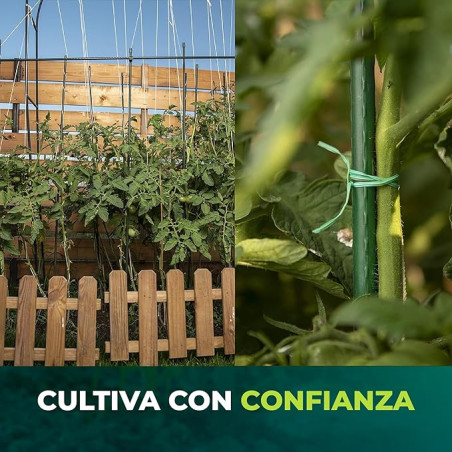 Tutore in acciaio rivestito in plastica, 210 cm, diametro 16 mm | Aste per piante e alberi | Supporti per pomodori