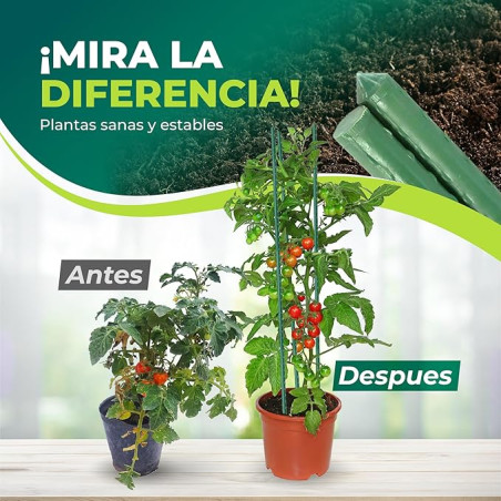 Pack 25 Tutor de Acero Plastificado 210cm Ø16 mm | Varillas para Plantas y Arboles | Tutores para Tomates
