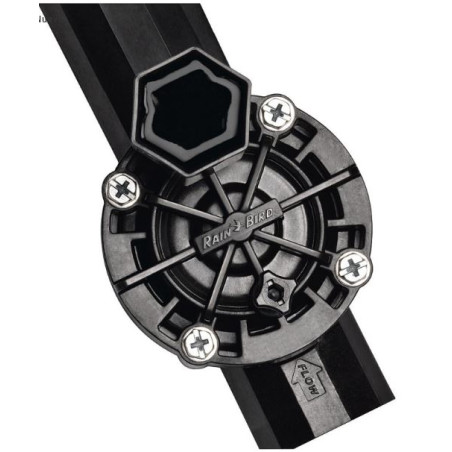 Rain Bird RC2 4-Zone Outdoor Wifi Irrigation Controller + 4 100HV 24V 1" Solenoid Valves