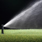 10 Stück KRain Minipro 1/2'' Bewässerungssprinkler | Reichweite 5,1 bis 9,1 m | Professioneller einstellbarer Sprinkler 10 Stück KRain Minipro 1/2'' Bewässerungssprinkler | Reichweite 5,1 bis 9,1 m | Professioneller einstellbarer Sprinkler