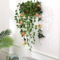 Pot de fleurs suspendu panier plantes coco avec chaîne 35 litres de volume 35 cm diamètre, marron Pot de fleurs suspendu panier plantes coco avec chaîne 35 litres de volume 35 cm diamètre, marron