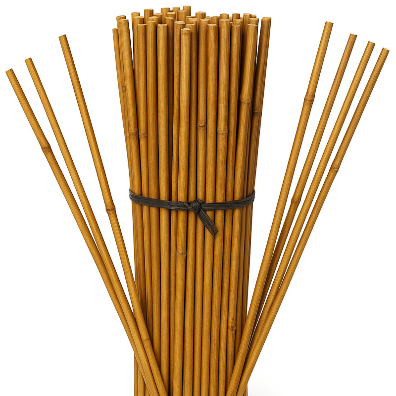 25 Stück Bambus-Stützstangen 200 cm (10-12 mm) | Bambusstäbe