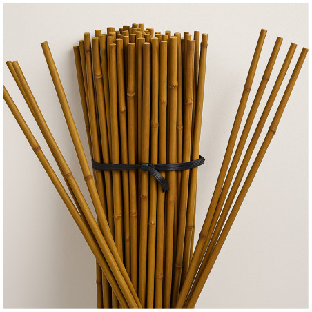 Pack 50 Tutor de Bambu 100 cm (10-12 mm) | Varillas de bambu