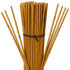 Lot de 100 poteaux de support en bambou 150 cm (12-14 mm) | Poteaux en bambou