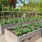 Lot de 500 Tuteur en Bambou 150 cm, 8-10 mm, Tubes en Bambou pour Plantes et Arbres, Baguettes de bambou, Canne de bambou Lot de 500 Tuteur en Bambou 150 cm, 8-10 mm, Tubes en Bambou pour Plantes et Arbres, Baguettes de bambou, Canne de bambou