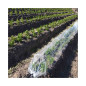 Toute épreuve Feuille De Polyéthylène 2x100 mètres, Extra-épais Clair Jardin, Housse de protection des cultures anti-gel Toute épreuve Feuille De Polyéthylène 2x100 mètres, Extra-épais Clair Jardin, Housse de protection des cultures anti-gel