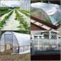 Cubierta para Invernadero, Cubierta de Plástico Transparente 2x10 m, protección de cultivos, cubierta para invernaderos