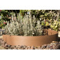 Bordure composite marron foncé 0,135 x 5 mètres d'une épaisseur de 4,5 mm, idéale pour les jardins Bordure composite marron foncé 0,135 x 5 mètres d'une épaisseur de 4,5 mm, idéale pour les jardins