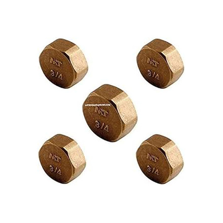5 x 1 1/4 "female brass plug