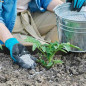 Nitrofoska Triple 15 fertilizer fertilizer, 1 Kg Nitrofoska Triple 15 fertilizer fertilizer, 1 Kg