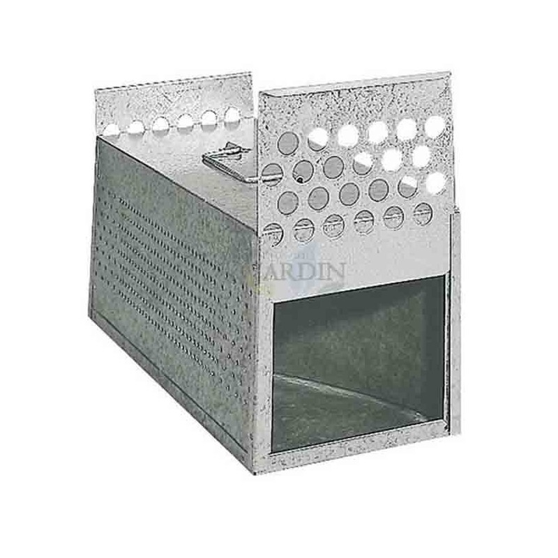 Verzinkte Transportbox mit 2 Abteilungen für Tauben und Vögel, 14x39x15 cm Verzinkte Transportbox mit 2 Abteilungen für Tauben und Vögel, 14x39x15 cm