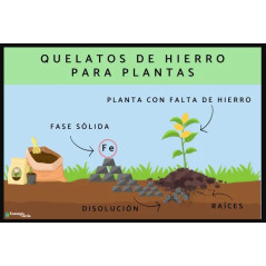 Quelato de Hierro Esantrene 50gr, Suplemento para Plantas con Carencias de Hierro