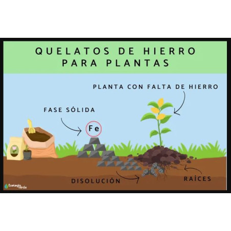 Quelato de Hierro Esantrene 50gr, Suplemento para Plantas con Carencias de Hierro