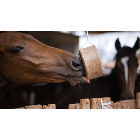 Soporte Metálico Piedra sal para caballos