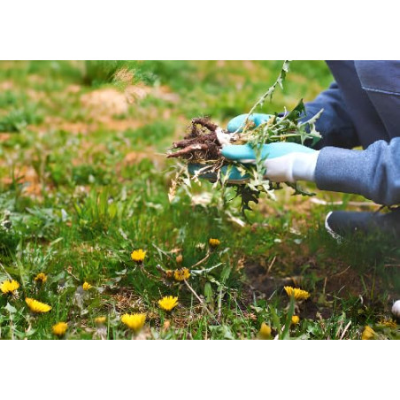 Herbicida ROUNDUP Total Profesional 1 Litro