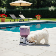 Mangiatoia automatica per cani e gatti, capacità 3 kg, 36 x 21 x 35 cm. Pannello LED touch. Permette di programmare fino a 3 pas