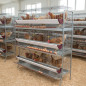 Battery for 45 laying hens in 9 departments 154x70x185 cm
