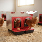 Ponedero Gallinas galvanizado de interior, Nido para gallinas 2 compartimentos, ideal para 8/9 gallinas, 52x45x48 cm