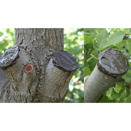 Masilla Pastol 250 gr para Injertos y Podas