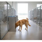 Galvanized sheet metal dog hopper super 40x35x80 cm