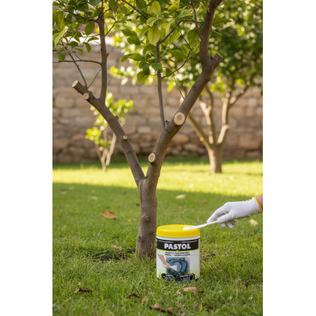 Pâte à greffer et à tailler 1 kg | Protège, cicatrise et régénère les plaies des plantes | Pâte cicatrisante pour arbres