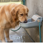 Bebedouro automático de alumínio para cães | Fonte de água para cães de grande porte | Bebedouro para cães 19x22x9cm