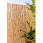 Canna Naturale Interoper Giardino 1,5x10 m, Utile per Oscuramento, Delimitazione o Ombreggiatura