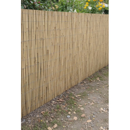 Valla de Cañizo Bambu 1,5x5 metros