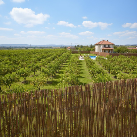 Malla de Sombreo Mimbre Helecho 1,5 x 5 metros